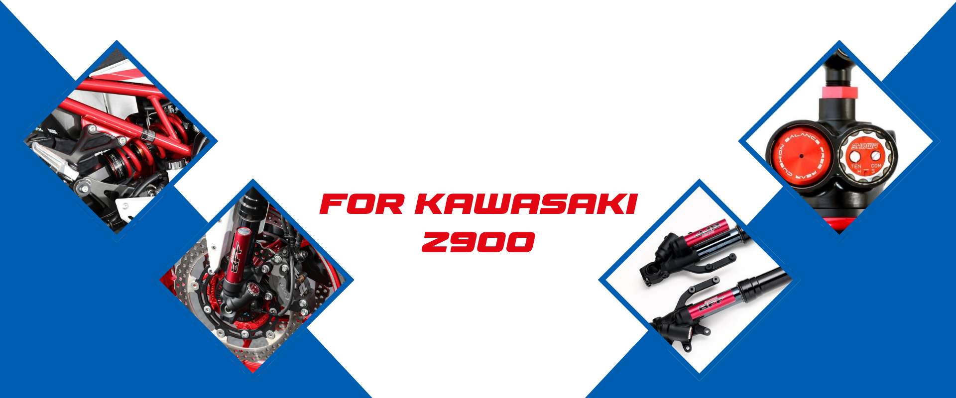 kawasaki suspension